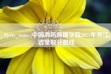 神农架中国消防救援学院2021年浙江省录取分数线
