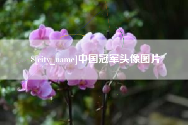 神农架中国冠军头像图片