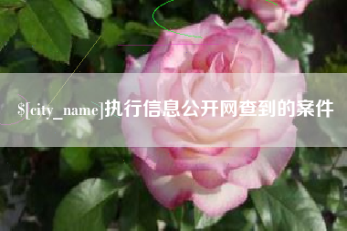 神农架执行信息公开网查到的案件