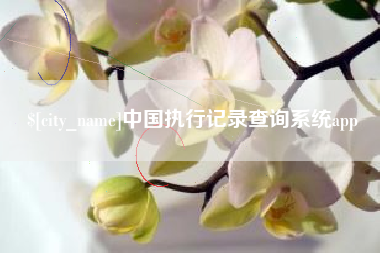 神农架中国执行记录查询系统app