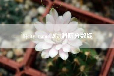神农架2021消防分数线