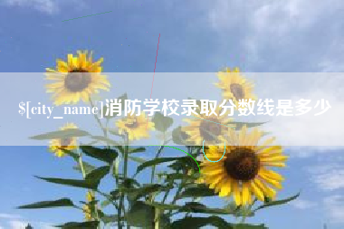 神农架消防学校录取分数线是多少