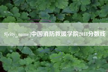 神农架中国消防救援学院2018分数线