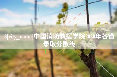 神农架中国消防救援学院2020年各省录取分数线