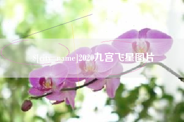 神农架2020九宫飞星图片