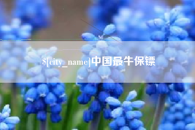 神农架中国最牛保镖