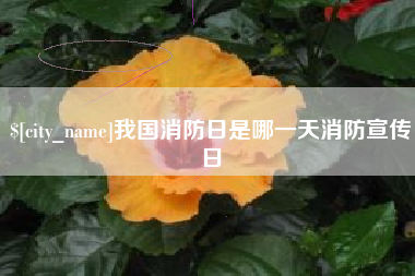 神农架我国消防日是哪一天消防宣传日
