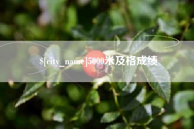 神农架5000米及格成绩