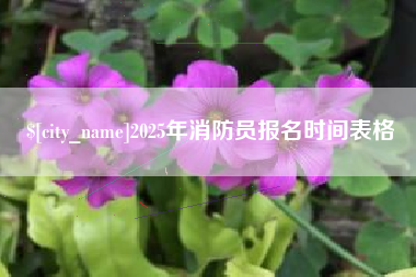 神农架2025年消防员报名时间表格