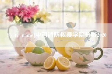 神农架中国消防救援学院分数2020