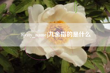 神农架九金指的是什么