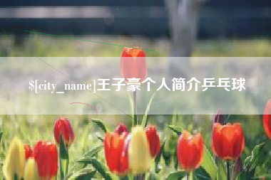 神农架王子豪个人简介乒乓球