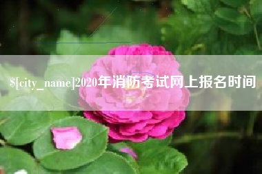 神农架2020年消防考试网上报名时间