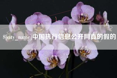 神农架中国执行信息公开网真的假的