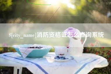 神农架消防资格证怎么查询系统