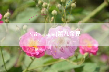 神农架第九金是