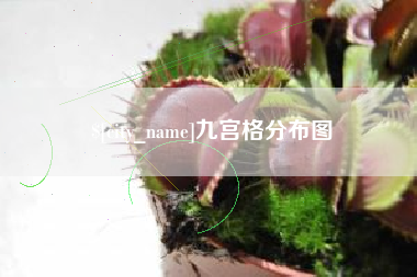 神农架九宫格分布图