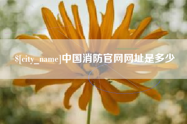 神农架中国消防官网网址是多少