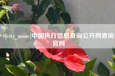 神农架中国执行信息查询公开网查询官网