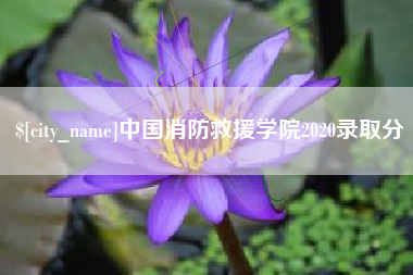 神农架中国消防救援学院2020录取分