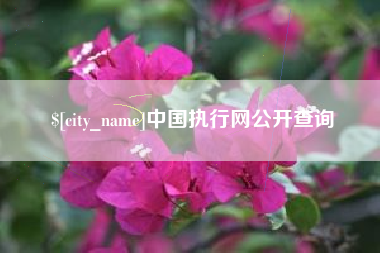 神农架中国执行网公开查询