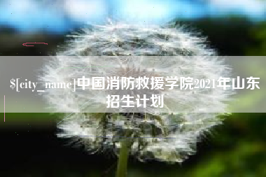 神农架中国消防救援学院2021年山东招生计划