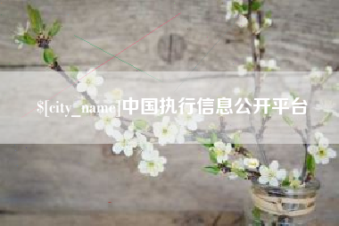 神农架中国执行信息公开平台