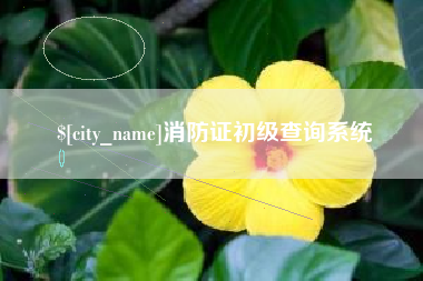 神农架消防证初级查询系统