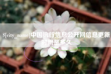 神农架中国执行信息公开网信息更新时间是多久