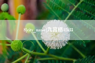 神农架九宫格42633