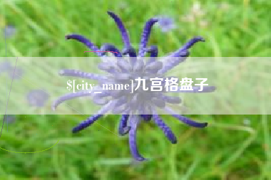 神农架九宫格盘子