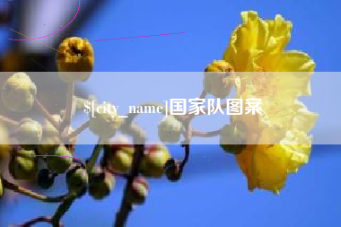 神农架国家队图案