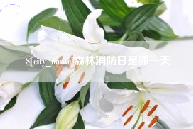 神农架森林消防日是哪一天