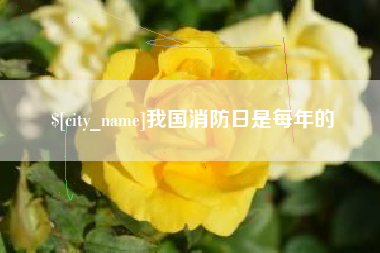 神农架我国消防日是每年的