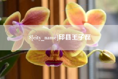神农架邱县王子磊
