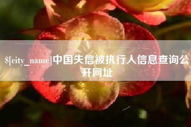 神农架中国失信被执行人信息查询公开网址