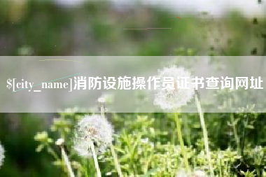 神农架消防设施操作员证书查询网址