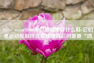 神农架5000米世界冠军穿什么鞋-它们是运动员取得优异成绩背后的重要“功臣”