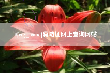 神农架消防证网上查询网站