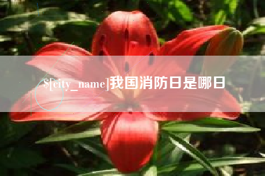 神农架我国消防日是哪日