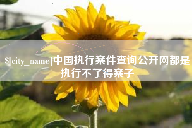 神农架中国执行案件查询公开网都是执行不了得案子