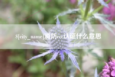 神农架消防ccc认证什么意思