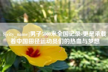 神农架男子5000米全国记录-更是承载着中国田径运动员们的热血与梦想