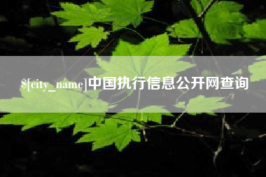 神农架中国执行信息公开网查询