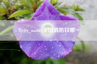 神农架全国消防日哪一