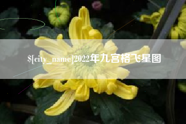 神农架2022年九宫格飞星图