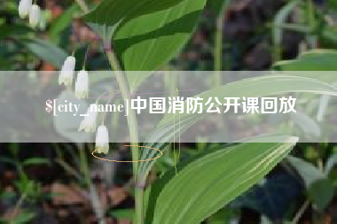 神农架中国消防公开课回放