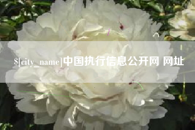 神农架中国执行信息公开网 网址