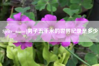 神农架男子五千米的世界纪录是多少