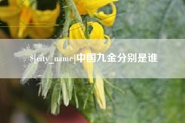 神农架中国九金分别是谁